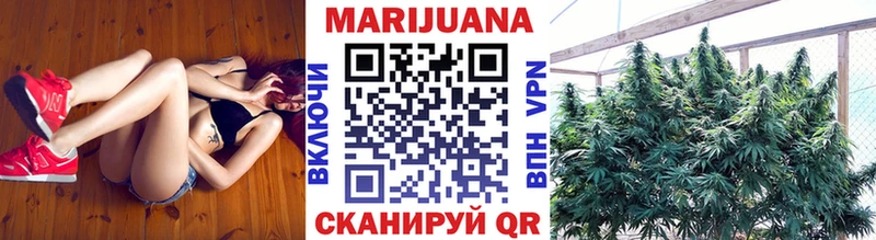 Бошки марихуана сатива  Хабаровск 